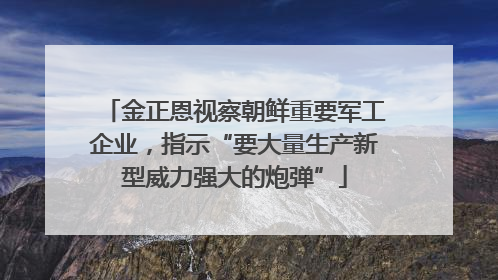 金正恩视察朝鲜重要军工企业，指示“要大量生产新型威力强大的炮弹”