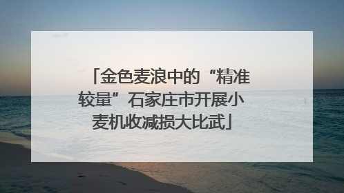 金色麦浪中的“精准较量”石家庄市开展小麦机收减损大比武