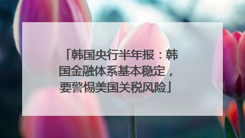 韩国央行半年报：韩国金融体系基本稳定，要警惕美国关税风险