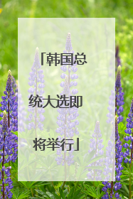 韩国总统大选即将举行