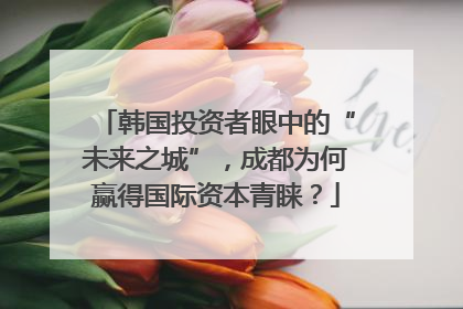韩国投资者眼中的“未来之城”，成都为何赢得国际资本青睐？
