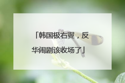 韩国极右翼，反华闹剧该收场了