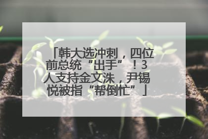 韩大选冲刺，四位前总统“出手”！3人支持金文洙，尹锡悦被指“帮倒忙”