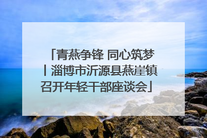 青燕争锋 同心筑梦丨淄博市沂源县燕崖镇召开年轻干部座谈会