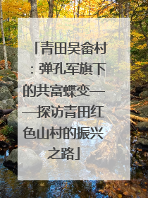 青田吴畲村:弹孔军旗下的共富蝶变——探访青田红色山村的振兴之路