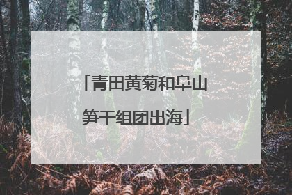 青田黄菊和阜山笋干组团出海