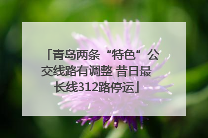 青岛两条“特色”公交线路有调整 昔日最长线312路停运