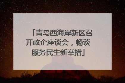 青岛西海岸新区召开政企座谈会，畅谈服务民生新举措