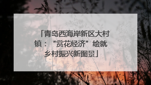 青岛西海岸新区大村镇：“赏花经济”绘就乡村振兴新图景