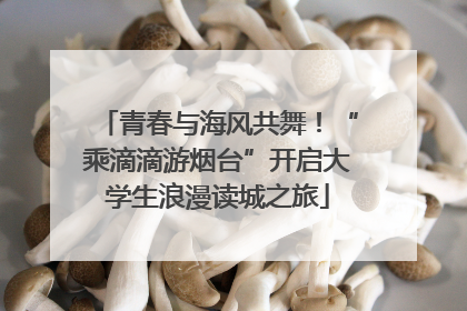 青春与海风共舞！“乘滴滴游烟台”开启大学生浪漫读城之旅