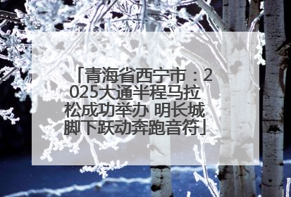 青海省西宁市：2025大通半程马拉松成功举办 明长城脚下跃动奔跑音符