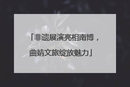 非遗展演亮相南博，曲靖文旅绽放魅力