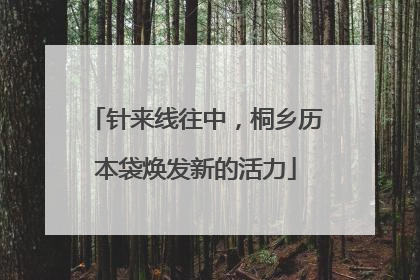 针来线往中，桐乡历本袋焕发新的活力
