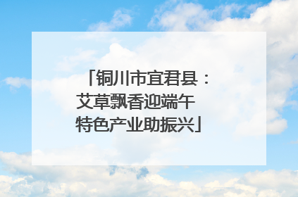 铜川市宜君县：艾草飘香迎端午 特色产业助振兴