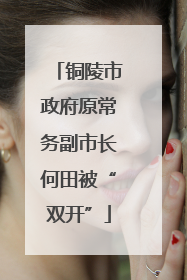 铜陵市政府原常务副市长何田被“双开”