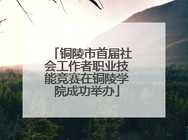 铜陵市首届社会工作者职业技能竞赛在铜陵学院成功举办