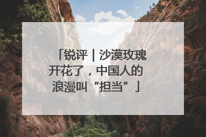 锐评｜沙漠玫瑰开花了，中国人的浪漫叫“担当”