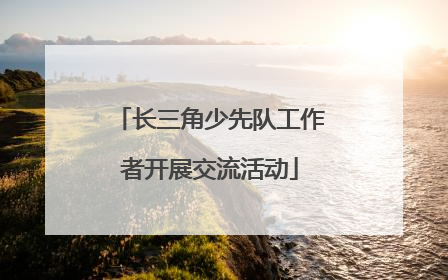 长三角少先队工作者开展交流活动