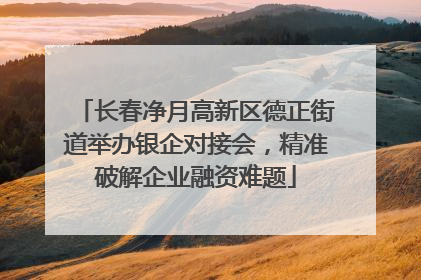 长春净月高新区德正街道举办银企对接会，精准破解企业融资难题