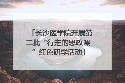 长沙医学院开展第二批“行走的思政课”红色研学活动