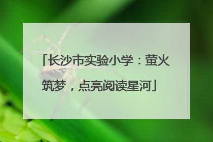 长沙市实验小学：萤火筑梦，点亮阅读星河