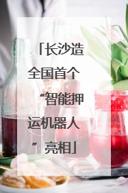 长沙造全国首个“智能押运机器人”亮相