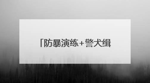 防暴演练+警犬缉捕，这堂幼儿安全课“干货满满”