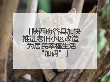 陕西府谷县加快推进老旧小区改造 为居民幸福生活“加码”