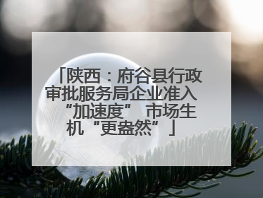 陕西：府谷县行政审批服务局企业准入“加速度” 市场生机“更盎然”
