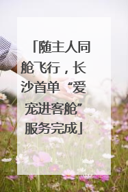 随主人同舱飞行，长沙首单“爱宠进客舱”服务完成