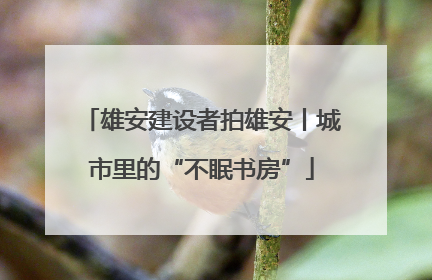 雄安建设者拍雄安丨城市里的“不眠书房”