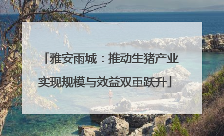 雅安雨城：推动生猪产业实现规模与效益双重跃升
