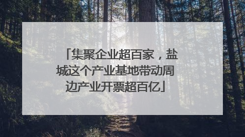 集聚企业超百家，盐城这个产业基地带动周边产业开票超百亿