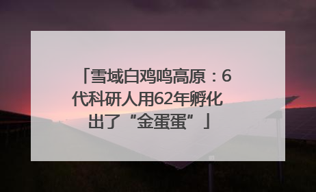 雪域白鸡鸣高原：6代科研人用62年孵化出了“金蛋蛋”