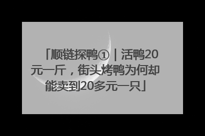 顺链探鸭①｜活鸭20元一斤，街头烤鸭为何却能卖到20多元一只