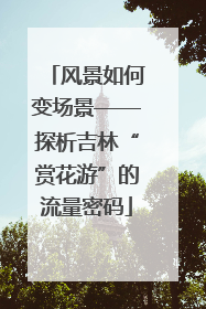 风景如何变场景——探析吉林“赏花游”的流量密码