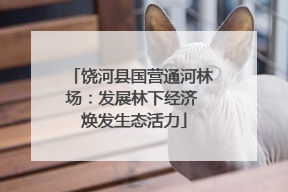 饶河县国营通河林场：发展林下经济 焕发生态活力