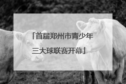 首届郑州市青少年三大球联赛开幕
