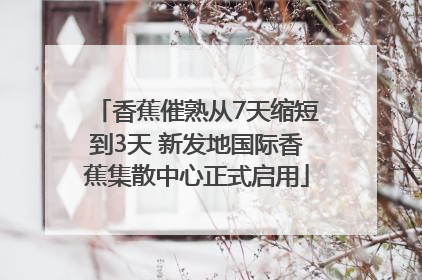 香蕉催熟从7天缩短到3天 新发地国际香蕉集散中心正式启用