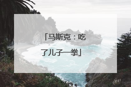 马斯克：吃了儿子一拳