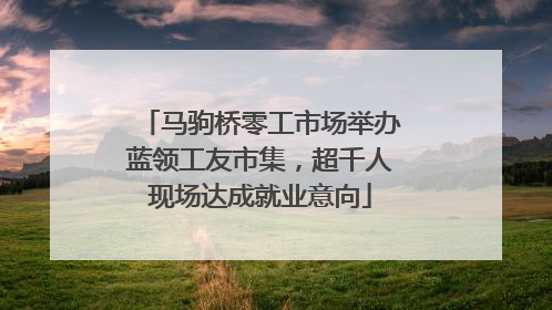 马驹桥零工市场举办蓝领工友市集，超千人现场达成就业意向