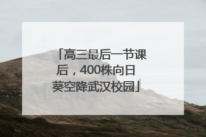 高三最后一节课后，400株向日葵空降武汉校园