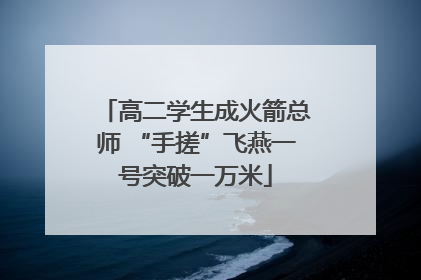 高二学生成火箭总师 “手搓”飞燕一号突破一万米