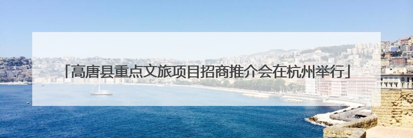 高唐县重点文旅项目招商推介会在杭州举行