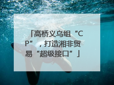 高桥义乌组“CP”，打造湘非贸易“超级接口”