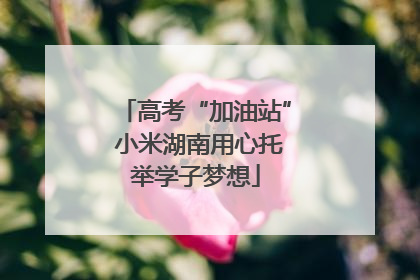 高考“加油站” 小米湖南用心托举学子梦想