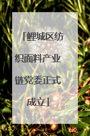 鲤城区纺织面料产业链党委正式成立