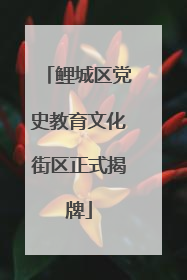 鲤城区党史教育文化街区正式揭牌