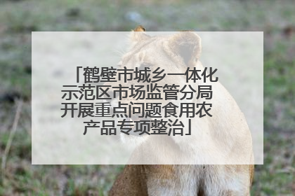 鹤壁市城乡一体化示范区市场监管分局开展重点问题食用农产品专项整治