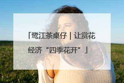 鹭江茶桌仔｜让赏花经济“四季花开”